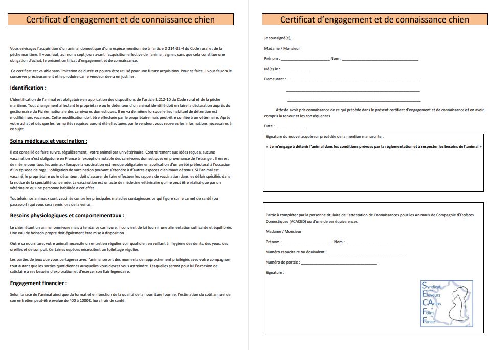 Le certificat d'engagement et de connaissance